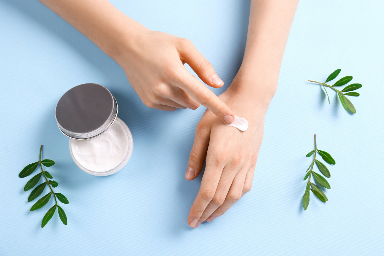 Understanding The Different Types of Eucalyptus