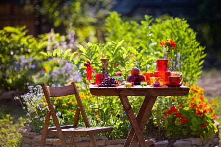 Now Is The Perfect Time To Plant Summer Flowering Bulbs