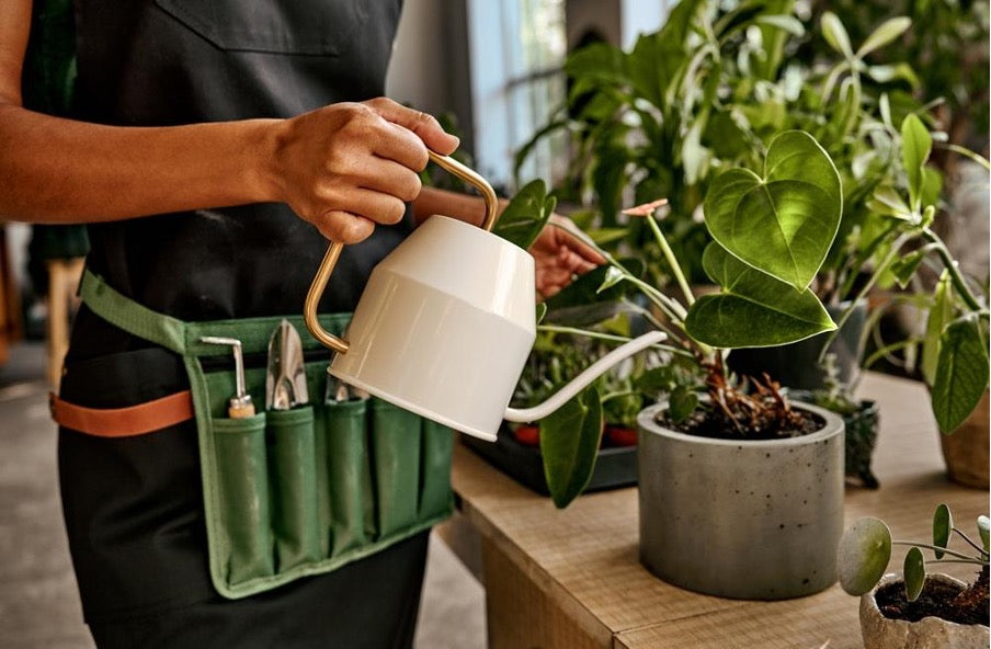 The Best Plants For Container Growing