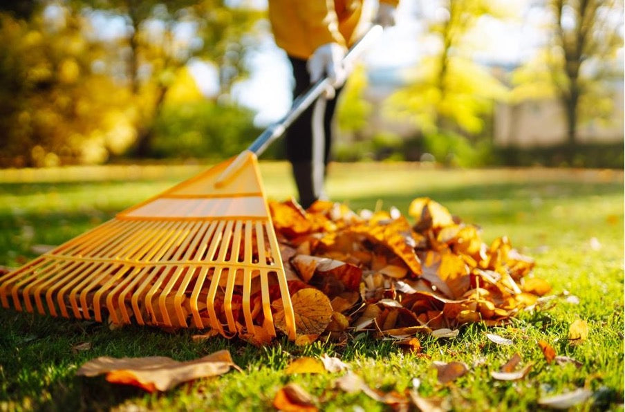 How To Prepare Your Garden For Autumn
