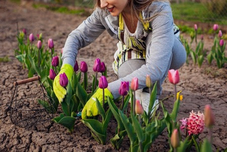 How To Prepare Your Garden For Spring
