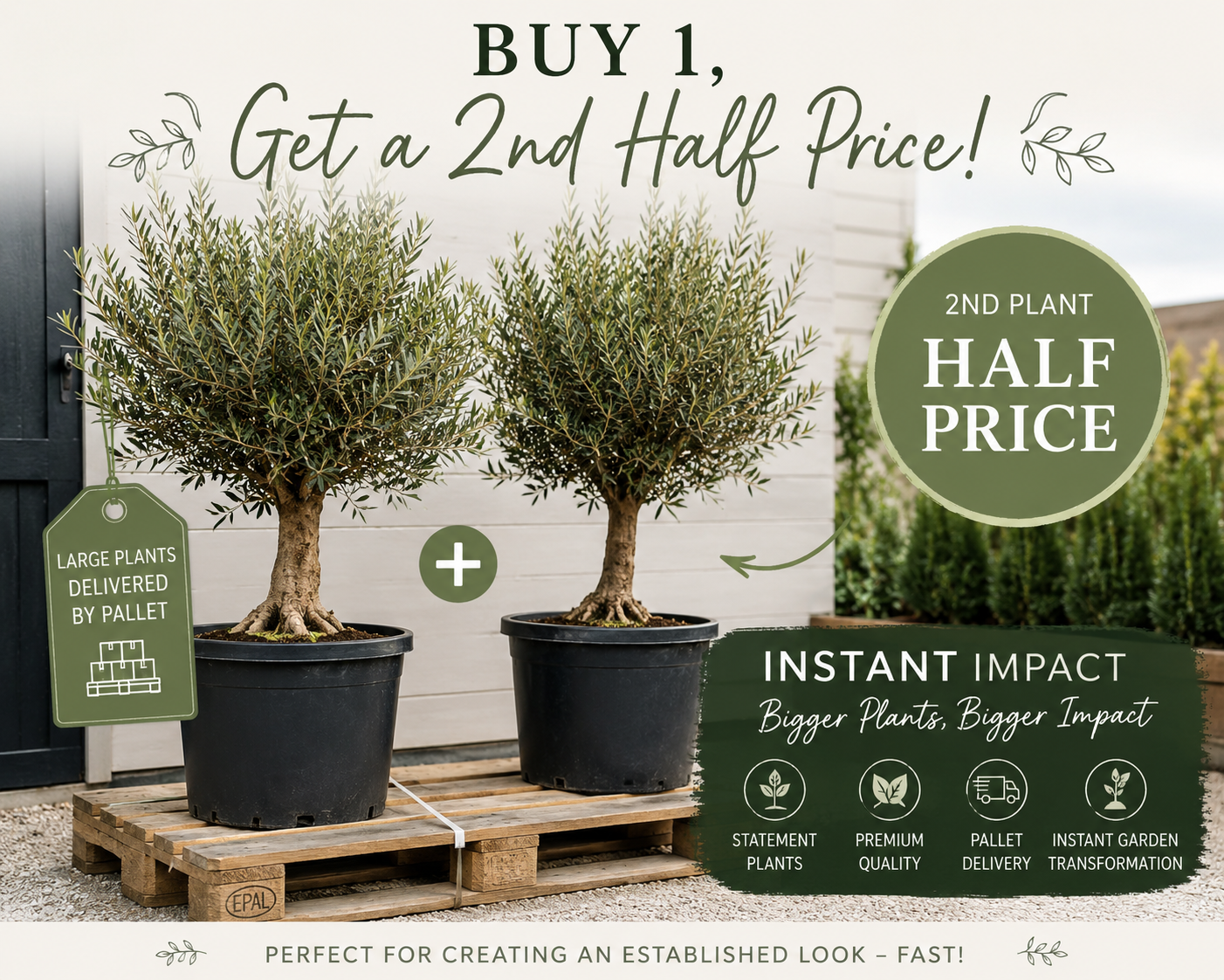 Buy 1 Tree, Get The 2nd Half Price
