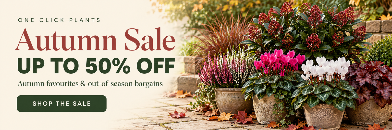 Autumn Sale