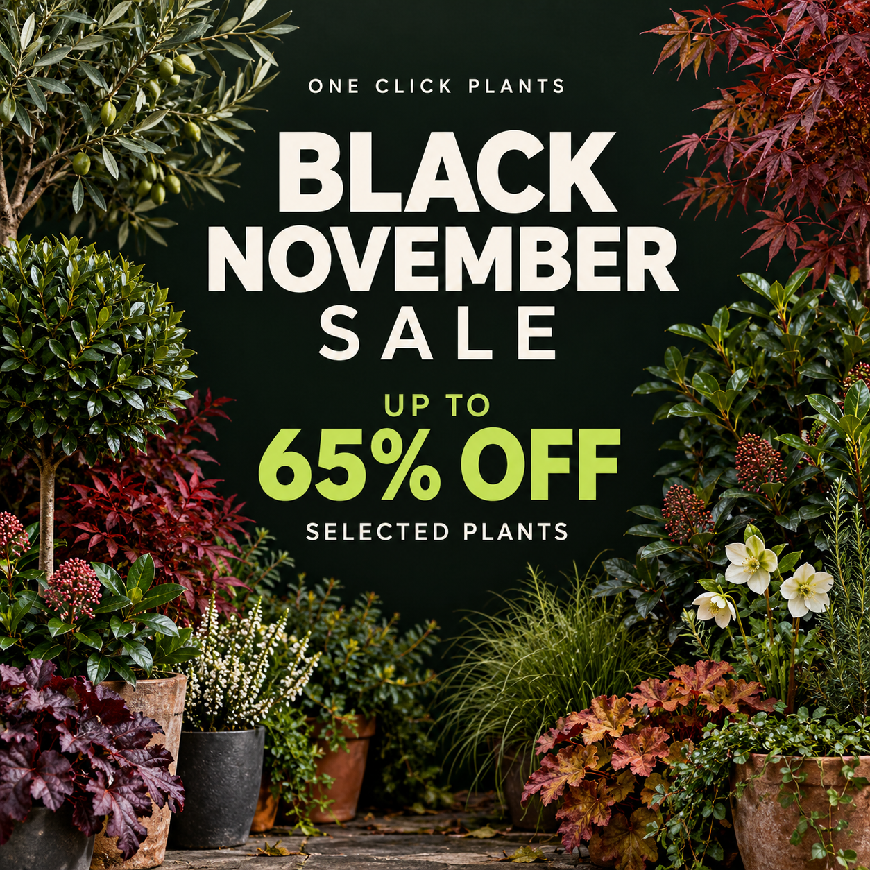 Black November 2026