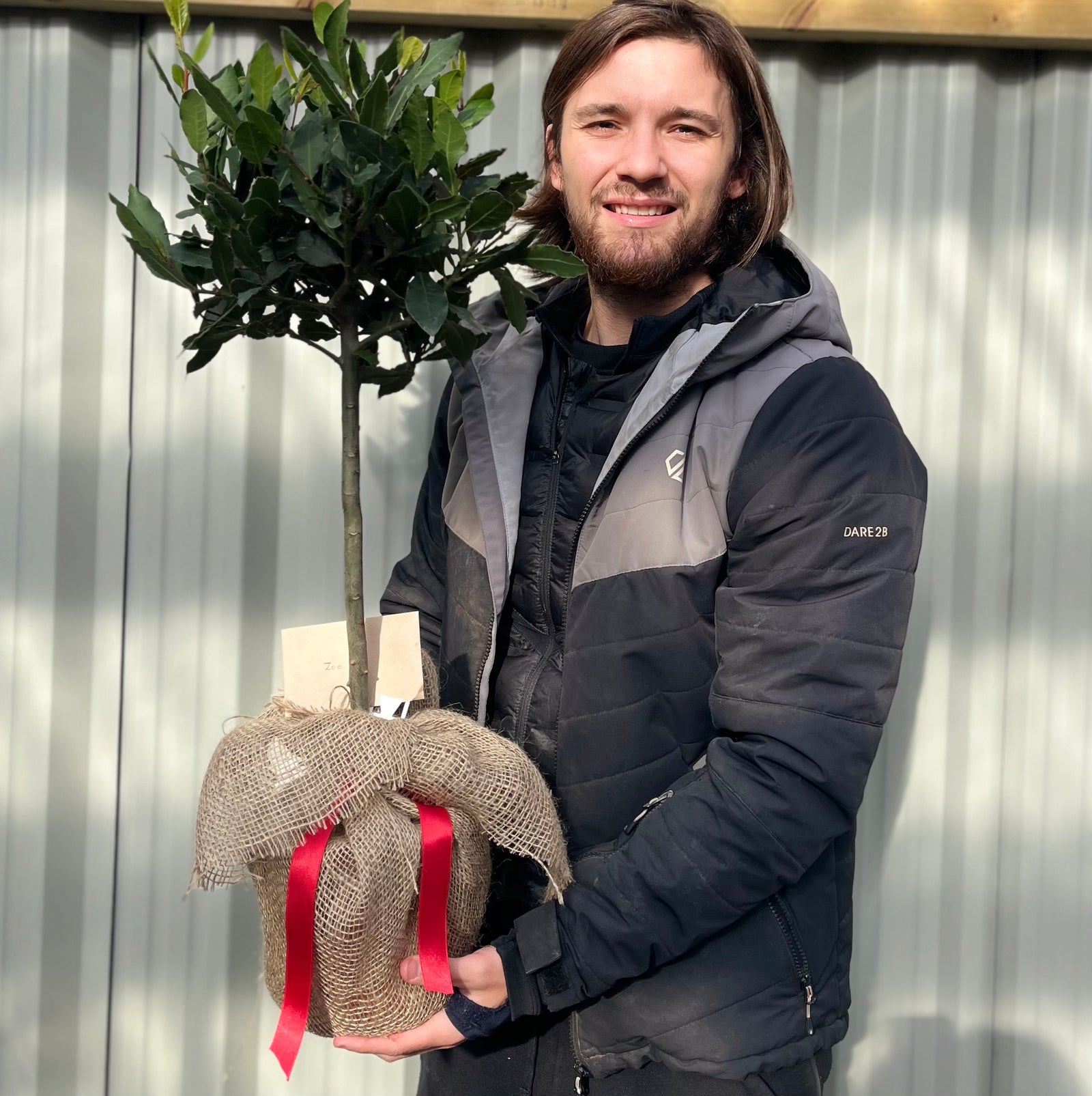 Plants for Christmas