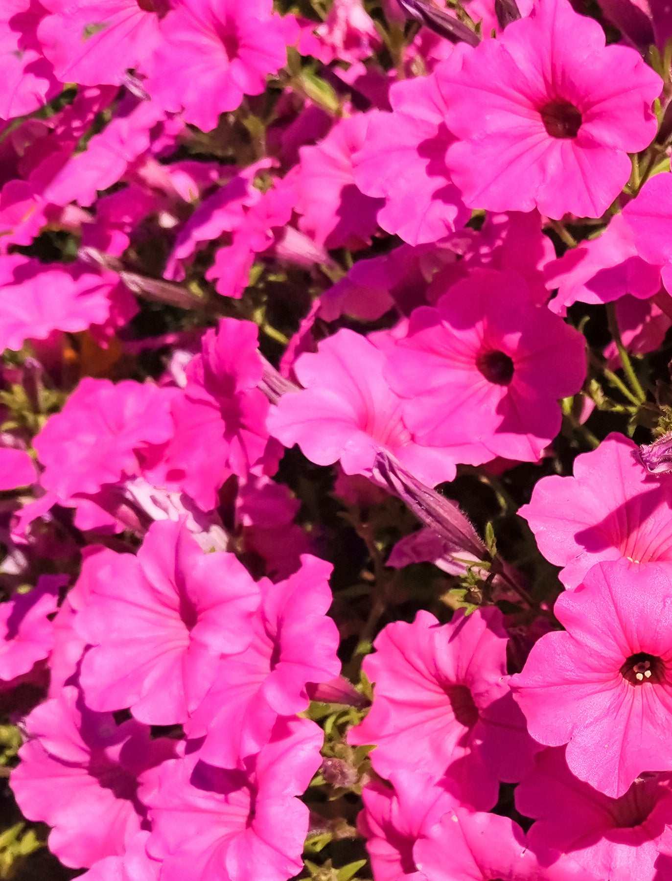 This month's favourites