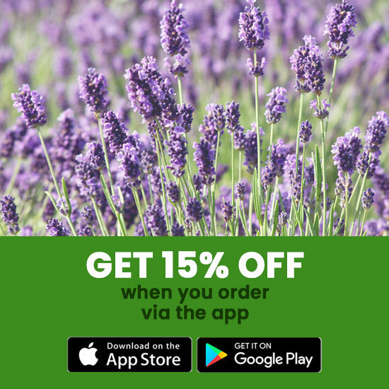 Get our App 15% Off.