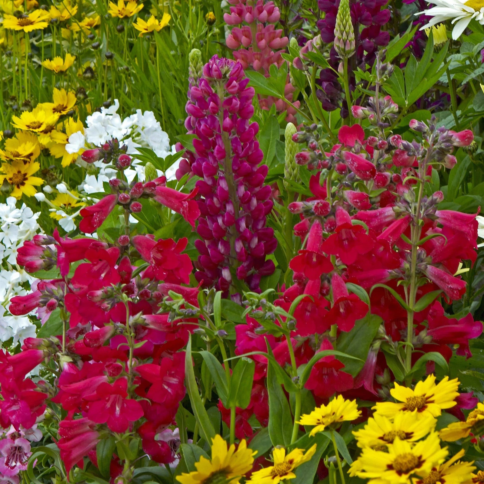 Inspirational Bundles