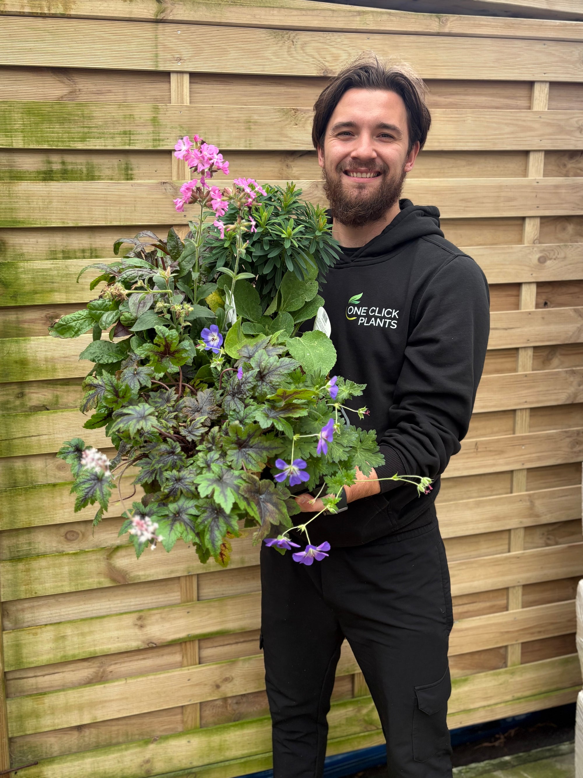Black November Perennial Mix