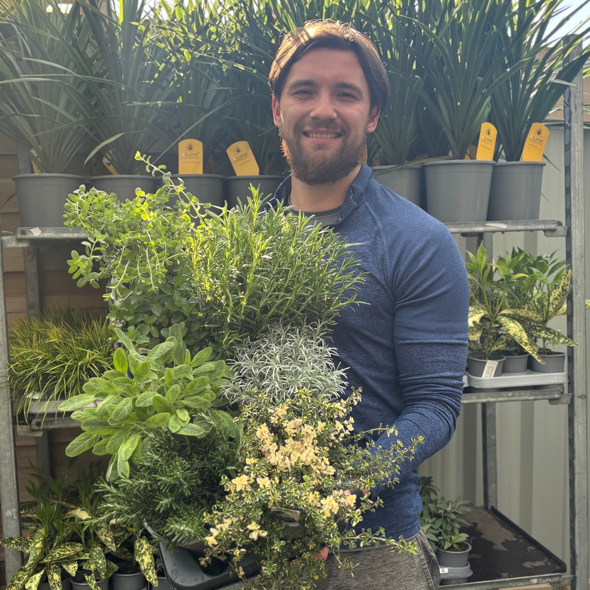 Our selection of Herbs 1.5L