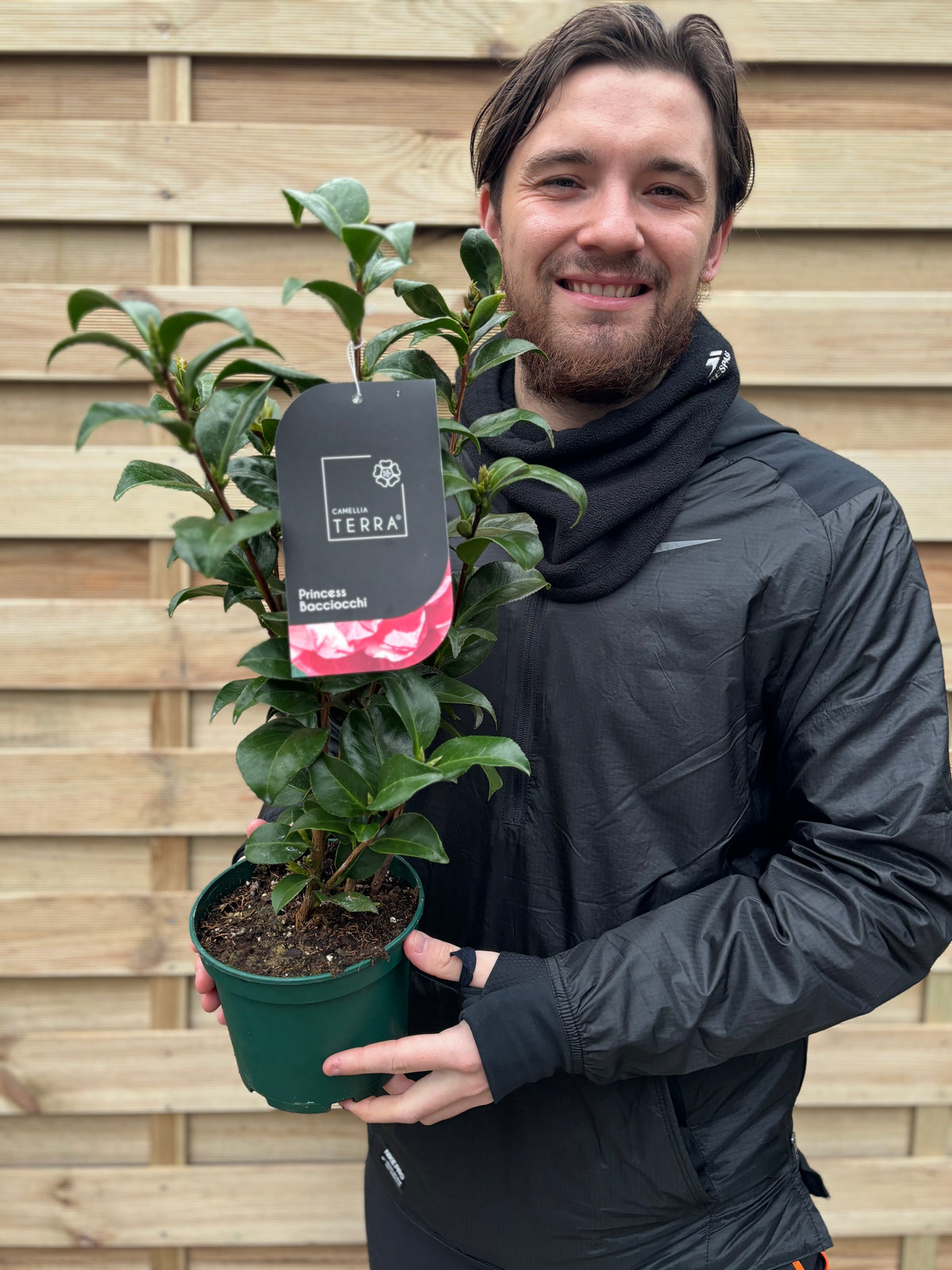 A smiling person in a black jacket holds a potted Camellia japonica &#39;Princess Bacchiocci&#39; (40-50cm), known for its evergreen foliage, in front of a wooden fence.