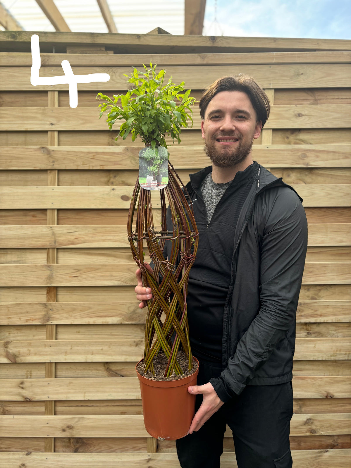 A smiling man in a black jacket stands before a wooden fence, holding a Salix Living Braided Willow Tree Sculpture (80-90cm) with green leaves. A white number 4 appears in the top left corner of the image.