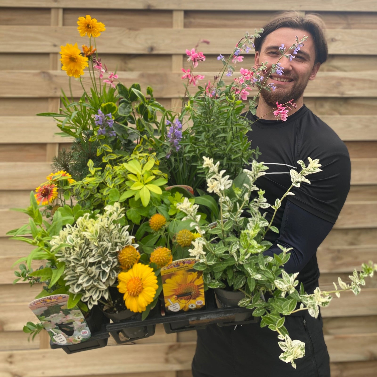 Special Offer: Mixed 9cm Evergreen Shrubs and Herbaceous Perennials (Our Selection)