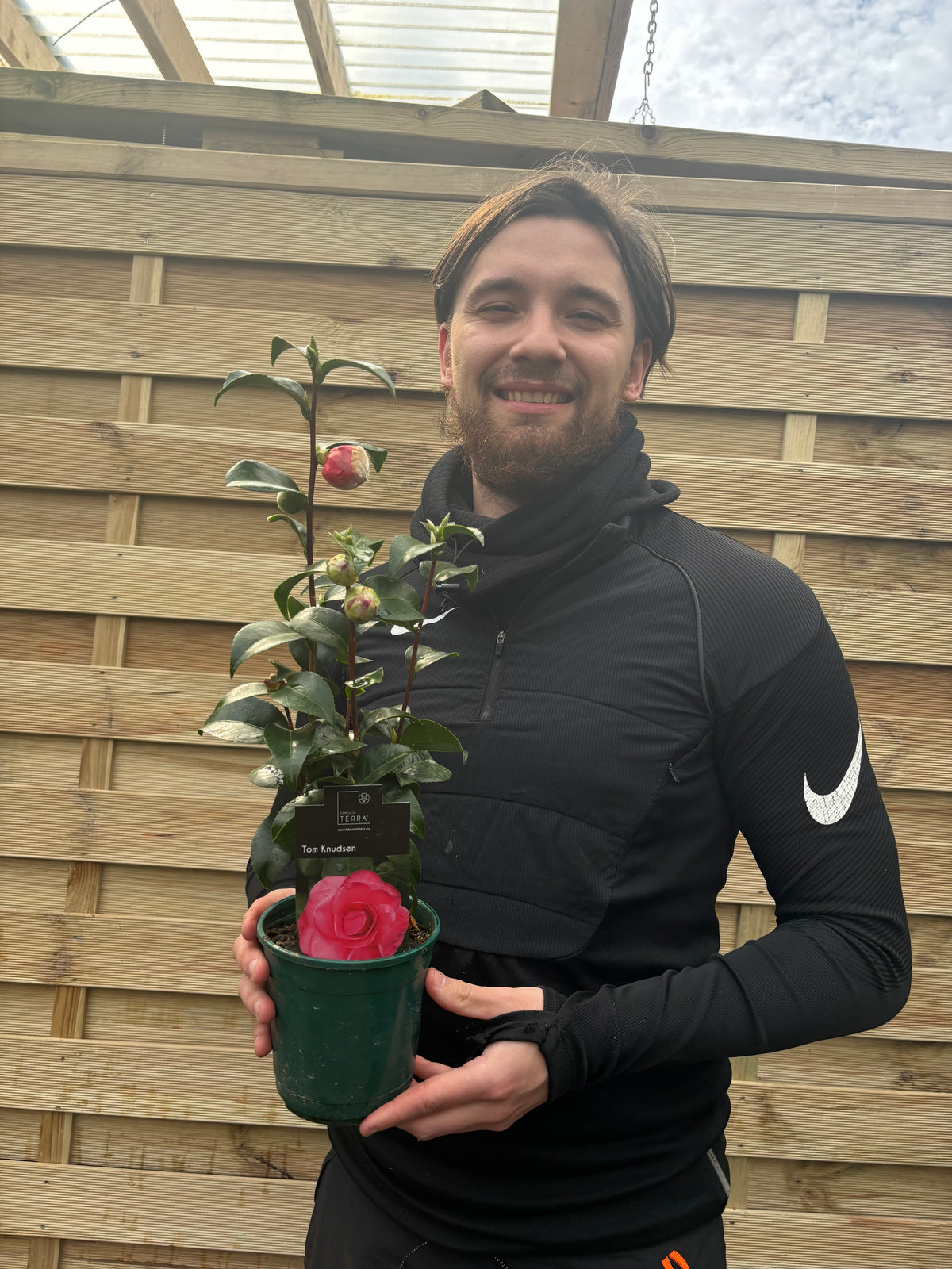 A smiling person with long hair and a beard holds a Camellia japonica &#39;Tom Knudsen&#39; 40-50cm with pink blooms, standing outdoors in front of a wooden fence.