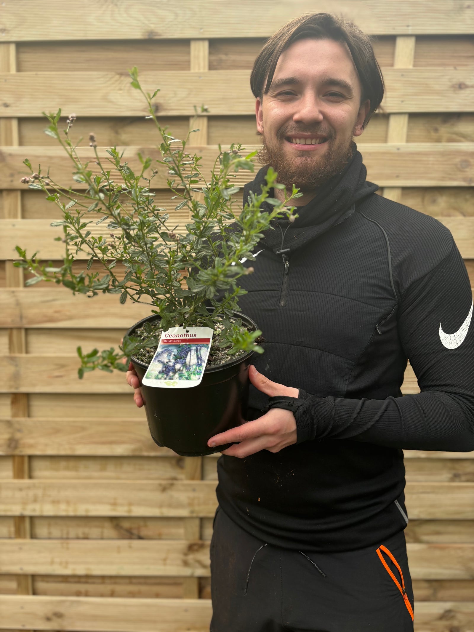 A man in a black athletic outfit smiles while holding a Ceanothus 'Italian Skies' (Californian Lilac) 3L with green leaves and blue flowers in front of a wooden fence. A plant tag featuring an image is attached to the pot.
