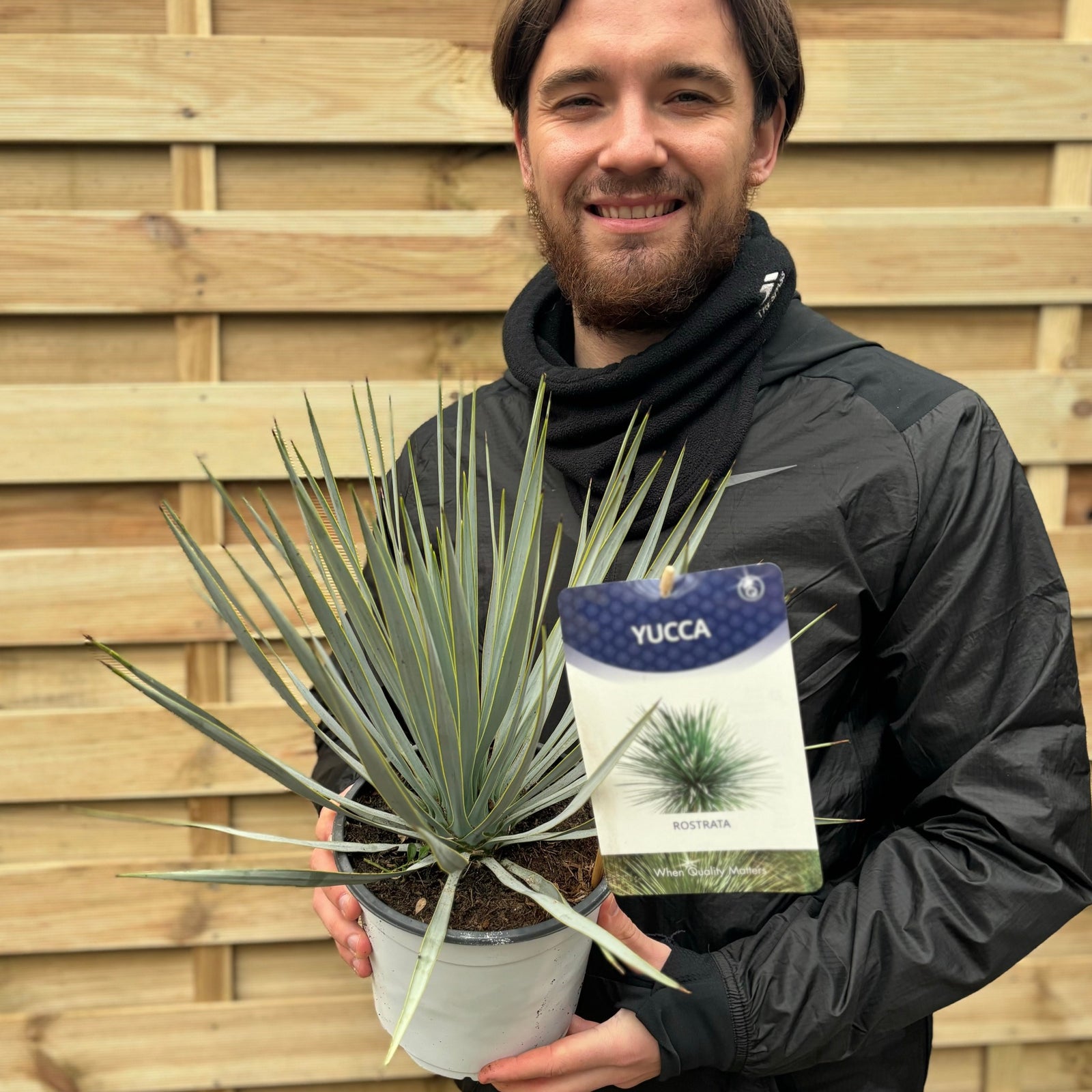 A smiling person in a black jacket holds a Yucca rostrata 'Blue Swan' 40-50cm 2L with a label, standing in front of a wooden fence.
