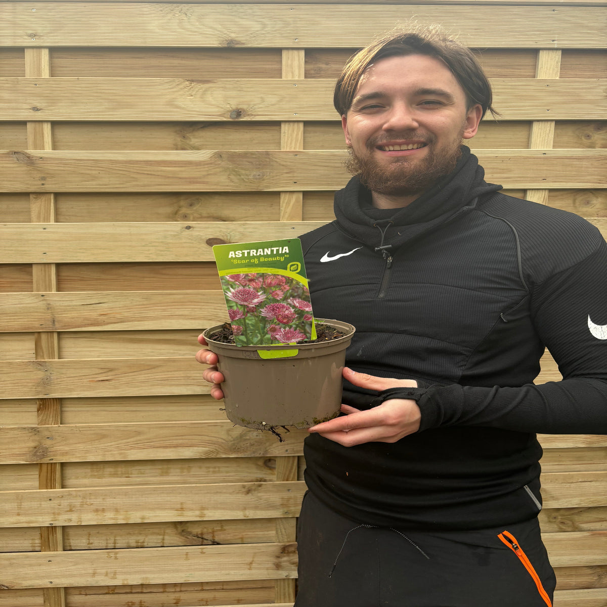 A man in a black jacket smiles while holding an Astrantia &#39;Star of Beauty&#39; 2L potted perennial, perfect for shade gardens, in front of a wooden fence.