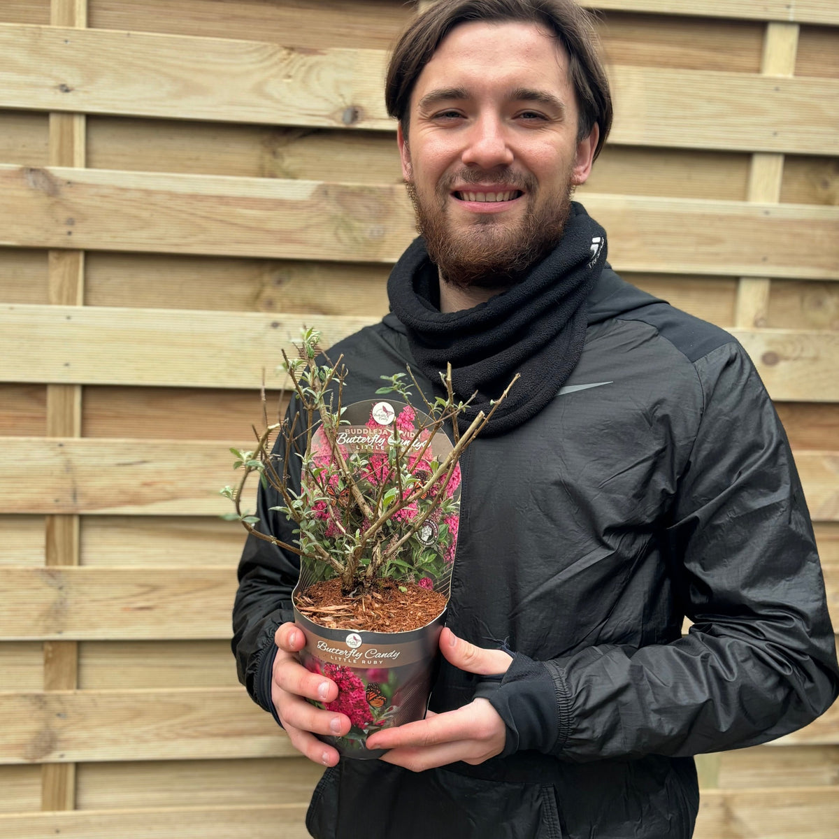 A smiling person in a black jacket and scarf holds a Buddleja Butterfly Candy &#39;Little Ruby&#39; (9cm/1L/2L/3L) with vibrant double flower panicles in front of a wooden fence.