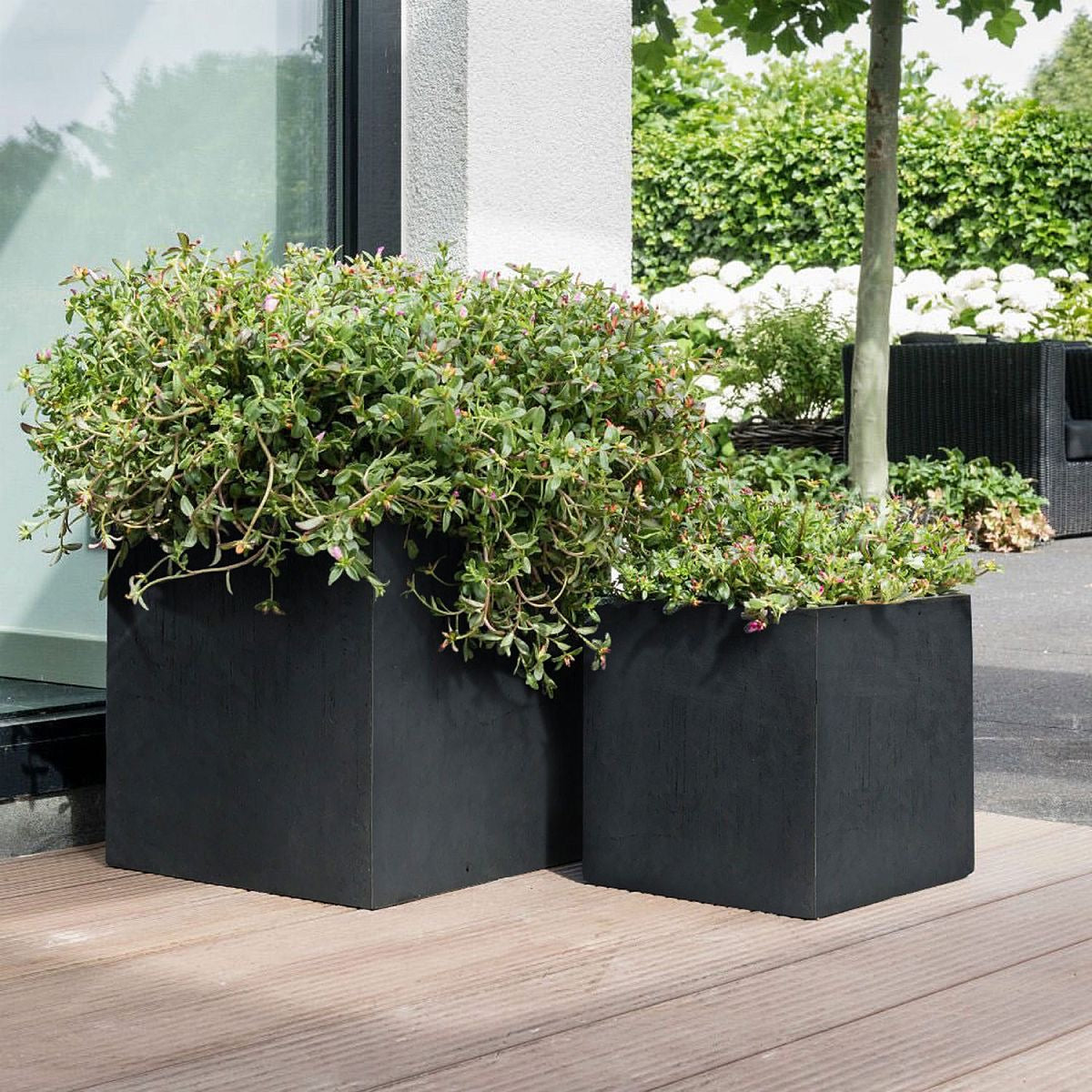 Two IDEALIST Lite Contemporary Flower Box Square Garden Planters (Faux Lead, H60 L60 W60 cm, 195L) with lush green plants stand on a wooden deck by a white wall, with an inviting outdoor seating area and greenery in the background.