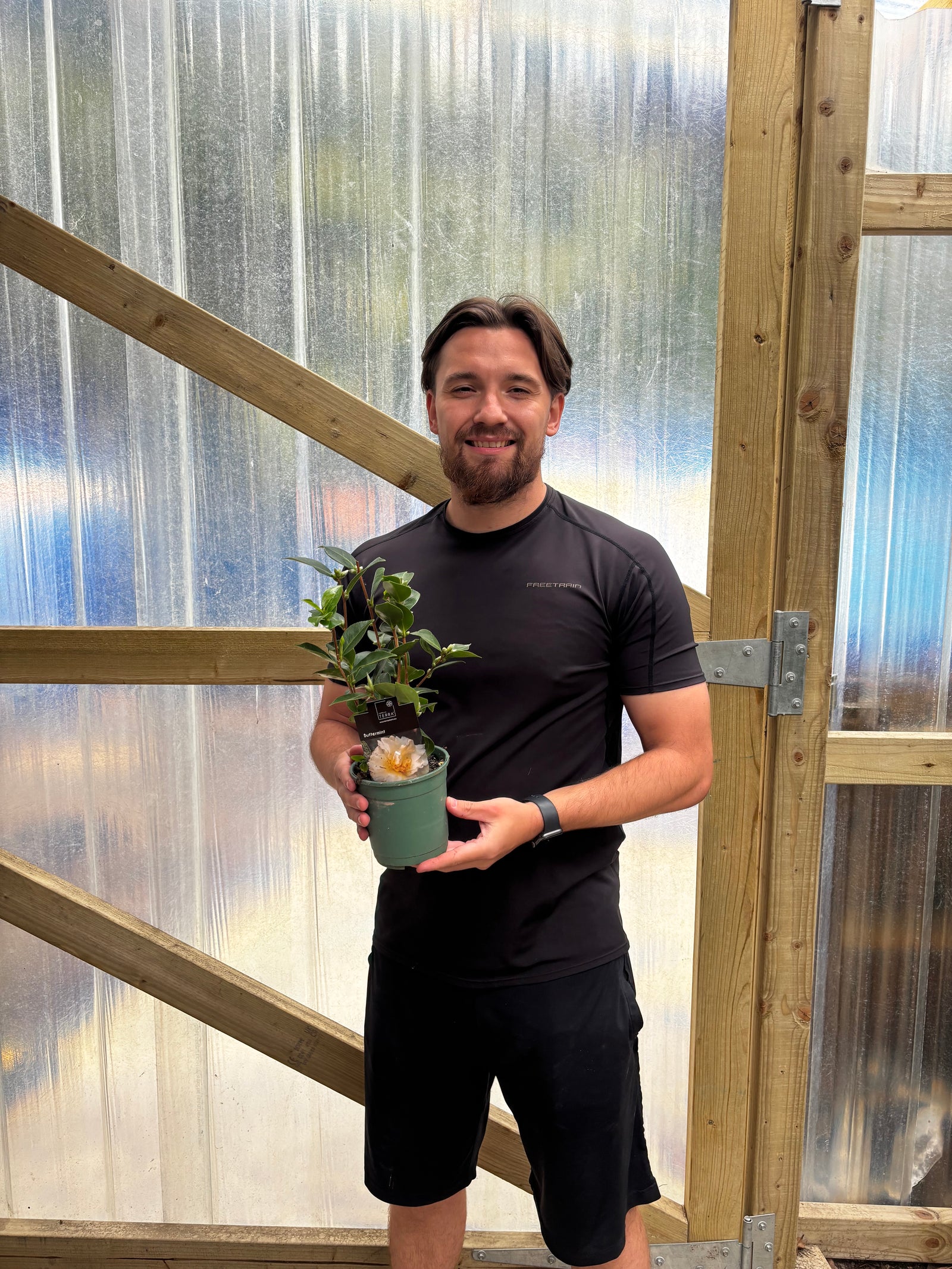 Camellia japonica 'Buttermint' 1L (40-50cm inc. pot)