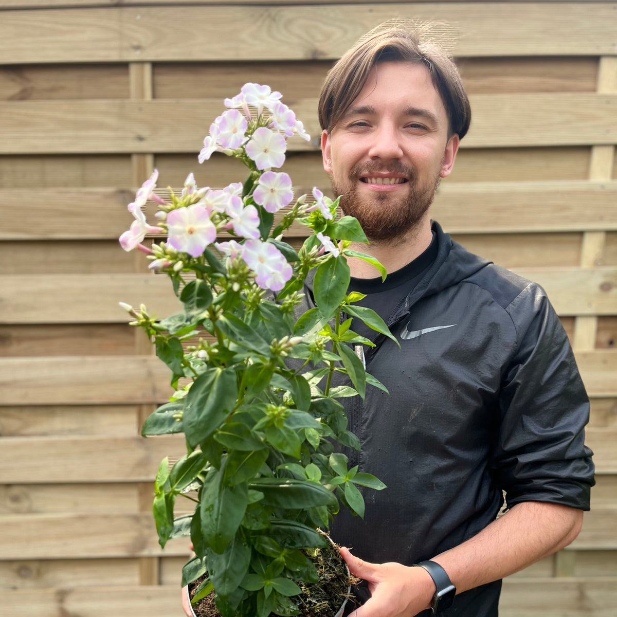 A smiling man with brown hair and a beard, wearing a black jacket, stands in front of a wooden fence holding a 2L Phlox paniculata flame &#39;Lilac Star&#39; potted plant with fragrant light purple and white blooms.