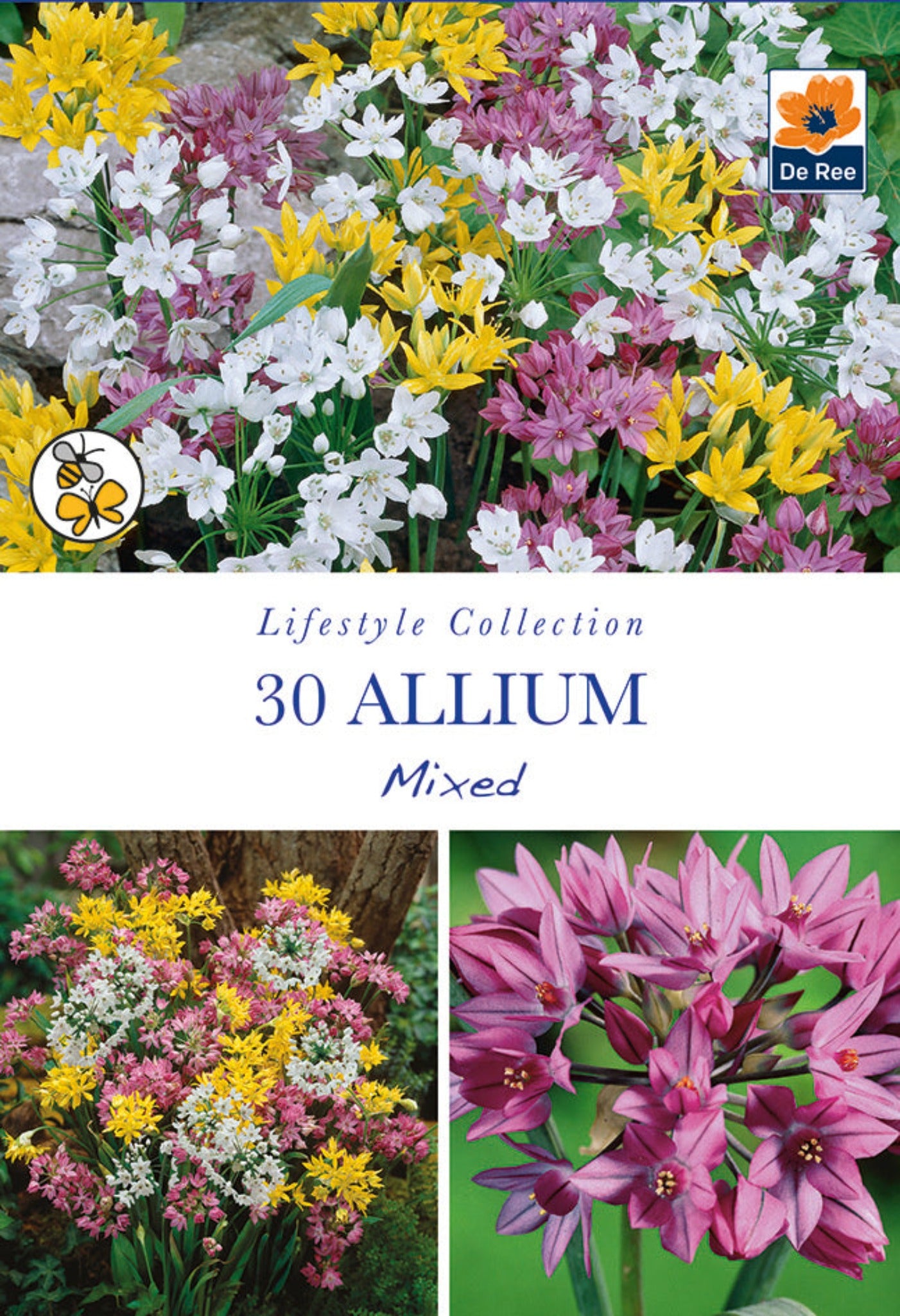 Allium Mixed Bulbs (30 Bulbs)