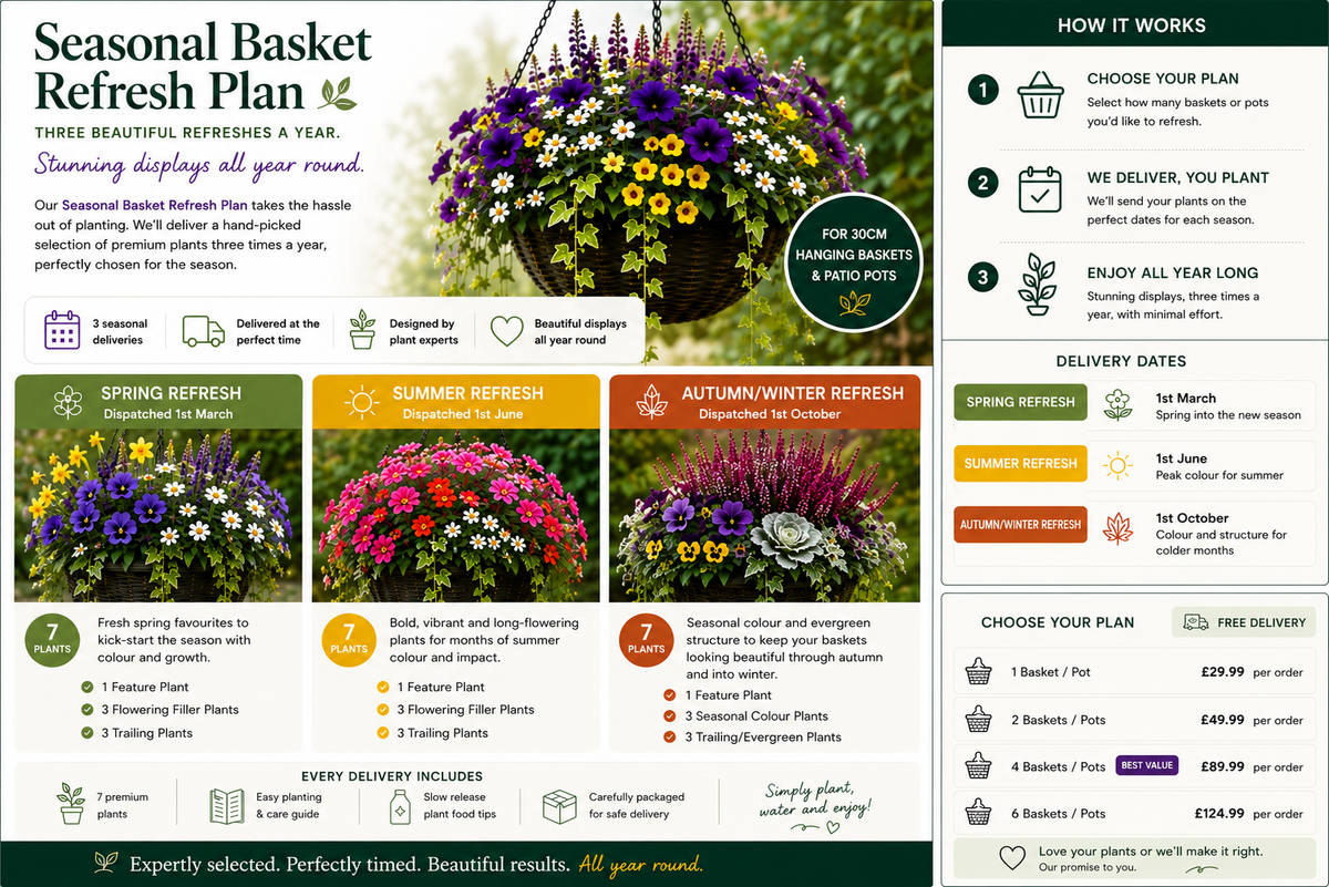 Seasonal Hanging Basket &amp; Pot Refresh Plan