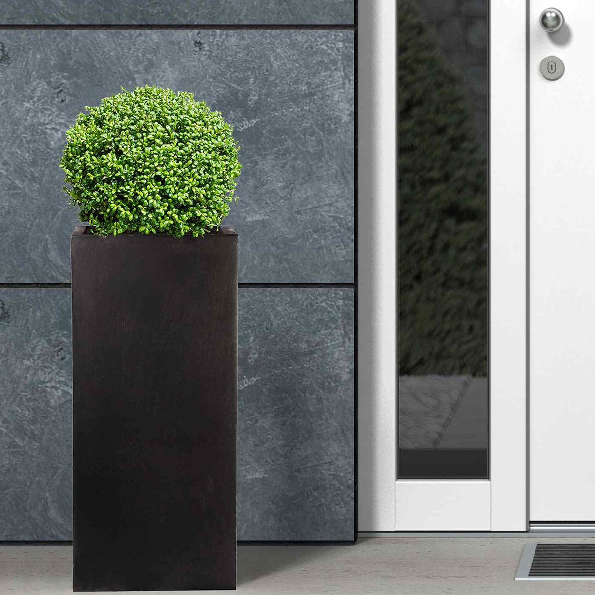 A tall, square IDEALIST Lite Contemporary Light Concrete Garden Planter (H70 L33 W33 cm, 79L) with a round green bush stands by a modern house entrance. This stylish outdoor pot is frost-proof and perfect for any season.
