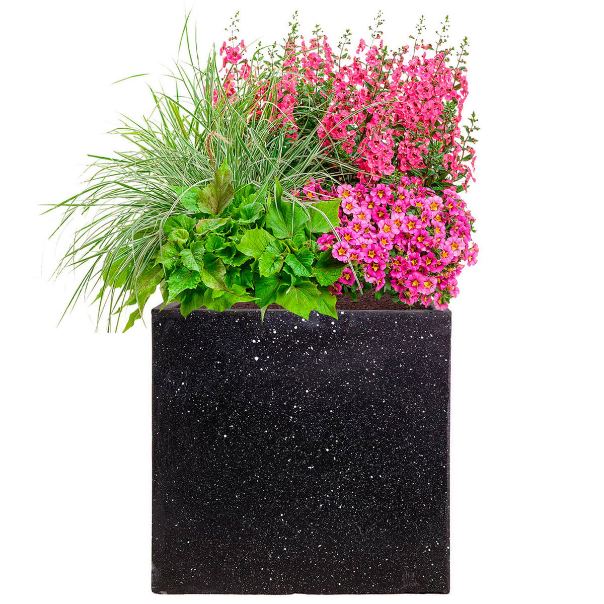 The IDEALIST Lite Contemporary Flower Box Square Garden Planter (H30 L30 W30 cm, 28L) in light concrete is perfect for showcasing green leafy plants and pink flowers, adding color and a lush look to any outdoor space. Frost-proof and stylish.