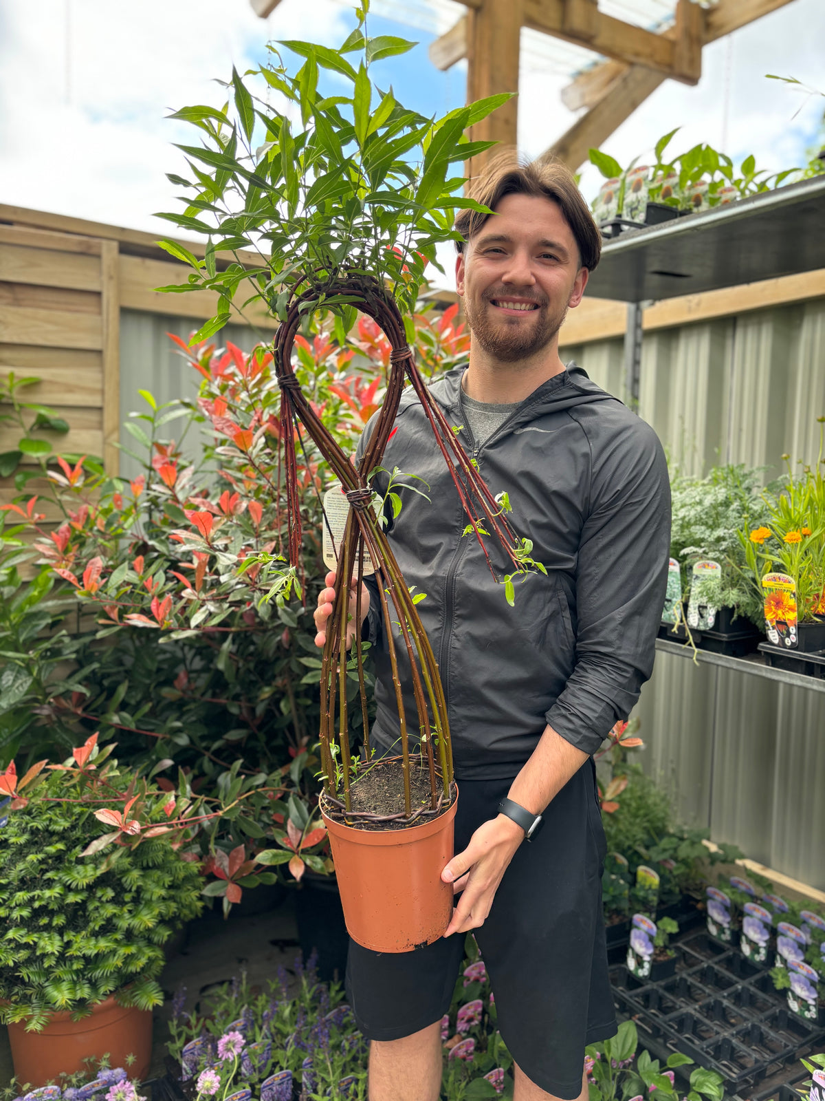 A smiling man in a gray jacket holds a Salix Living Braided Willow Tree Sculpture (80-90cm) in a greenhouse filled with green and flowering plants, ideal for enhancing a contemporary garden.