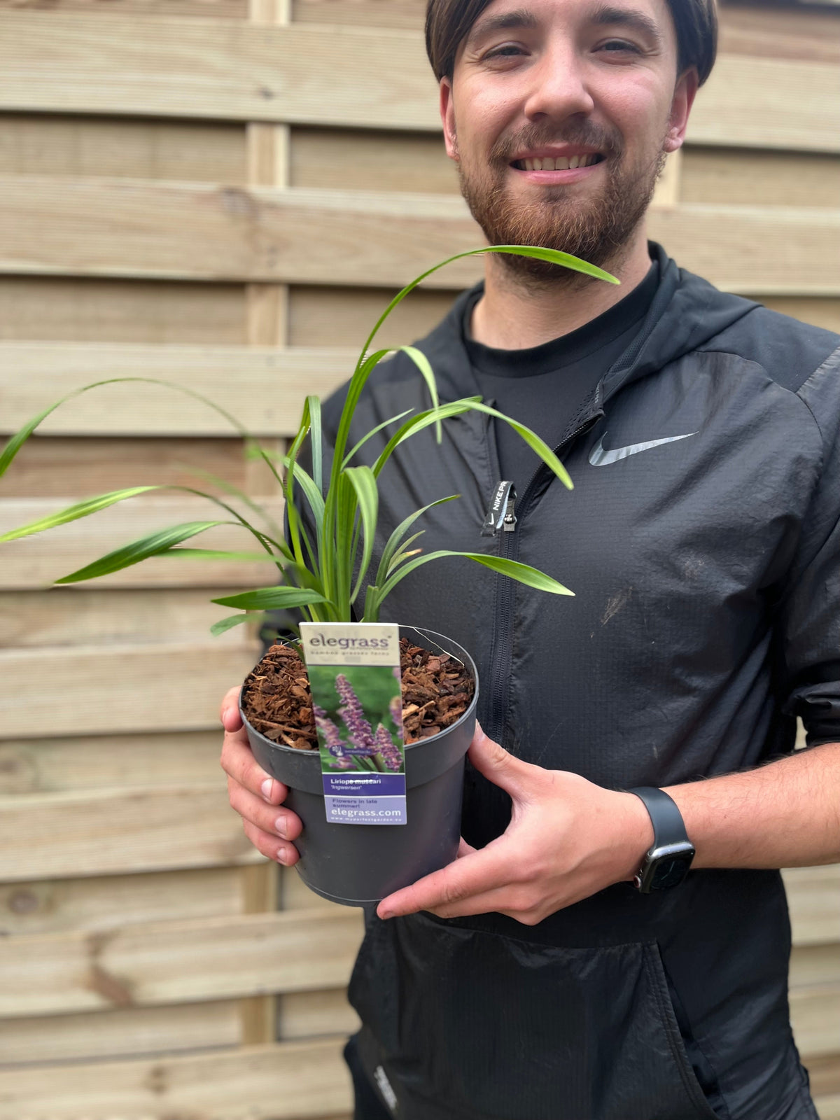 A smiling person in a black jacket stands before a wooden fence, holding a potted Liriope muscari ingwersen 1.4L with green leaves and a tag displaying its purple flowers.