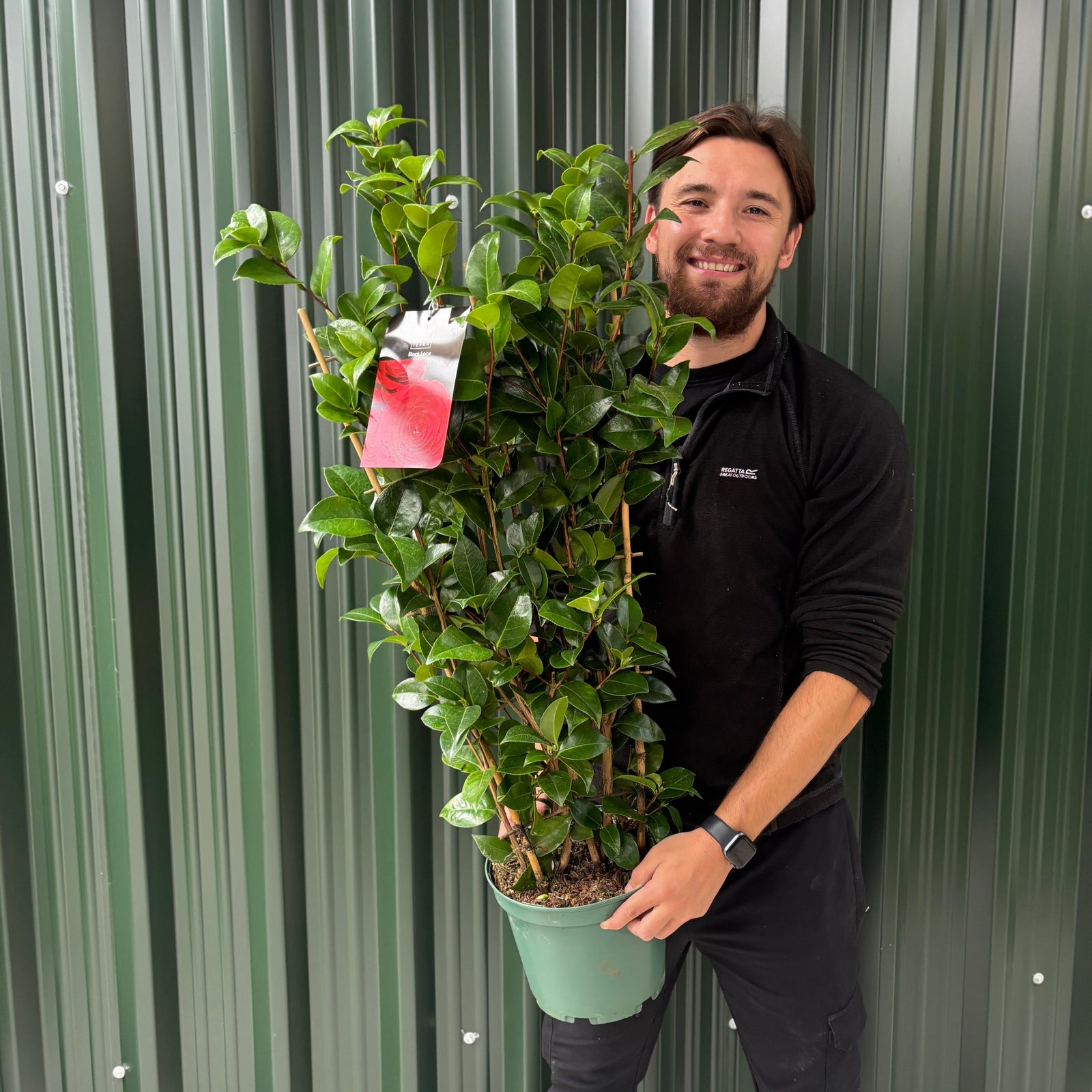 Man holding a Camellia Black Lace 