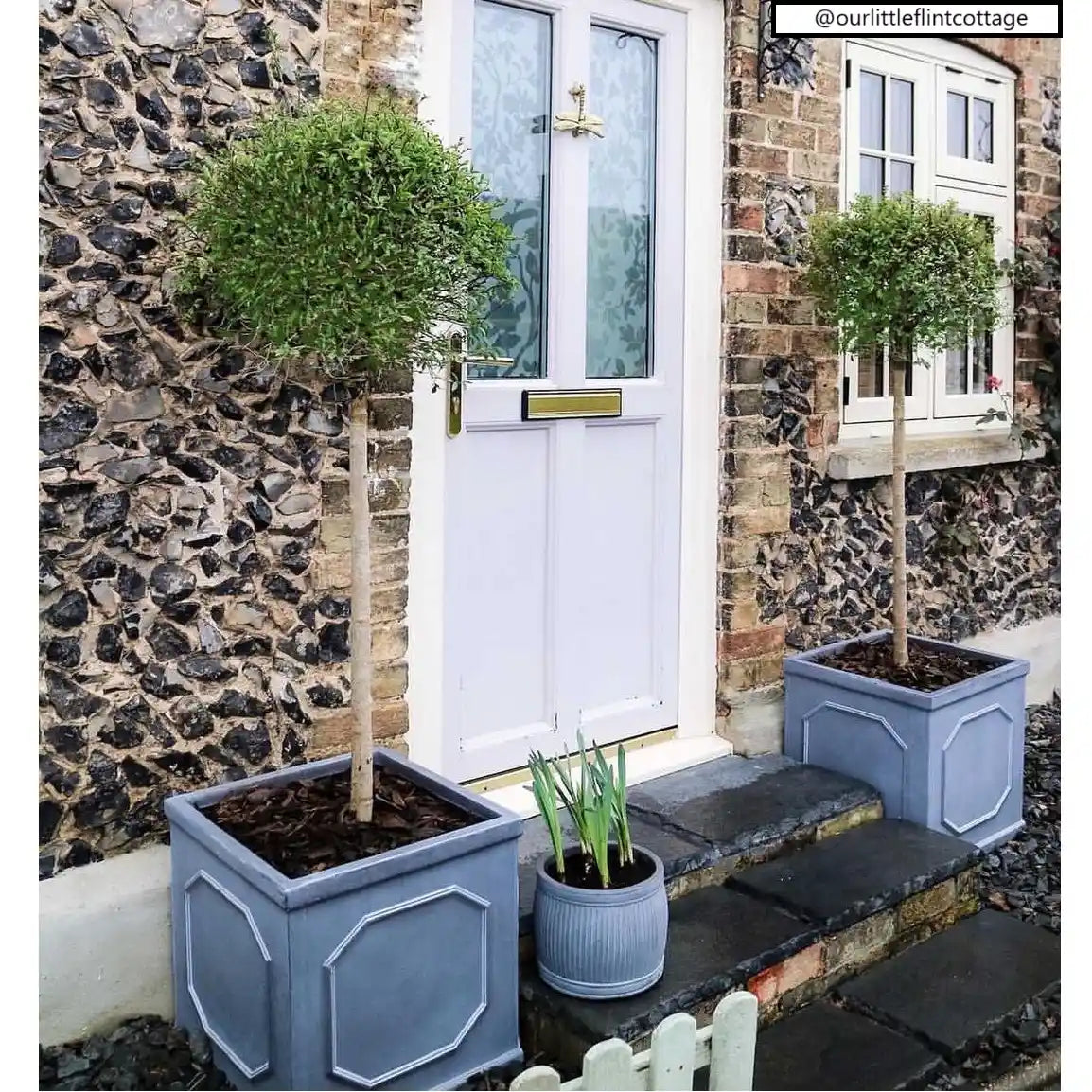 Two neatly pruned topiary trees in stylish planters flank a white front door. Between them, an IDEALIST Lite Chelsea Flower Box Square Garden Planter sits on the step, adding greenery to the brick and stone cottage exterior.