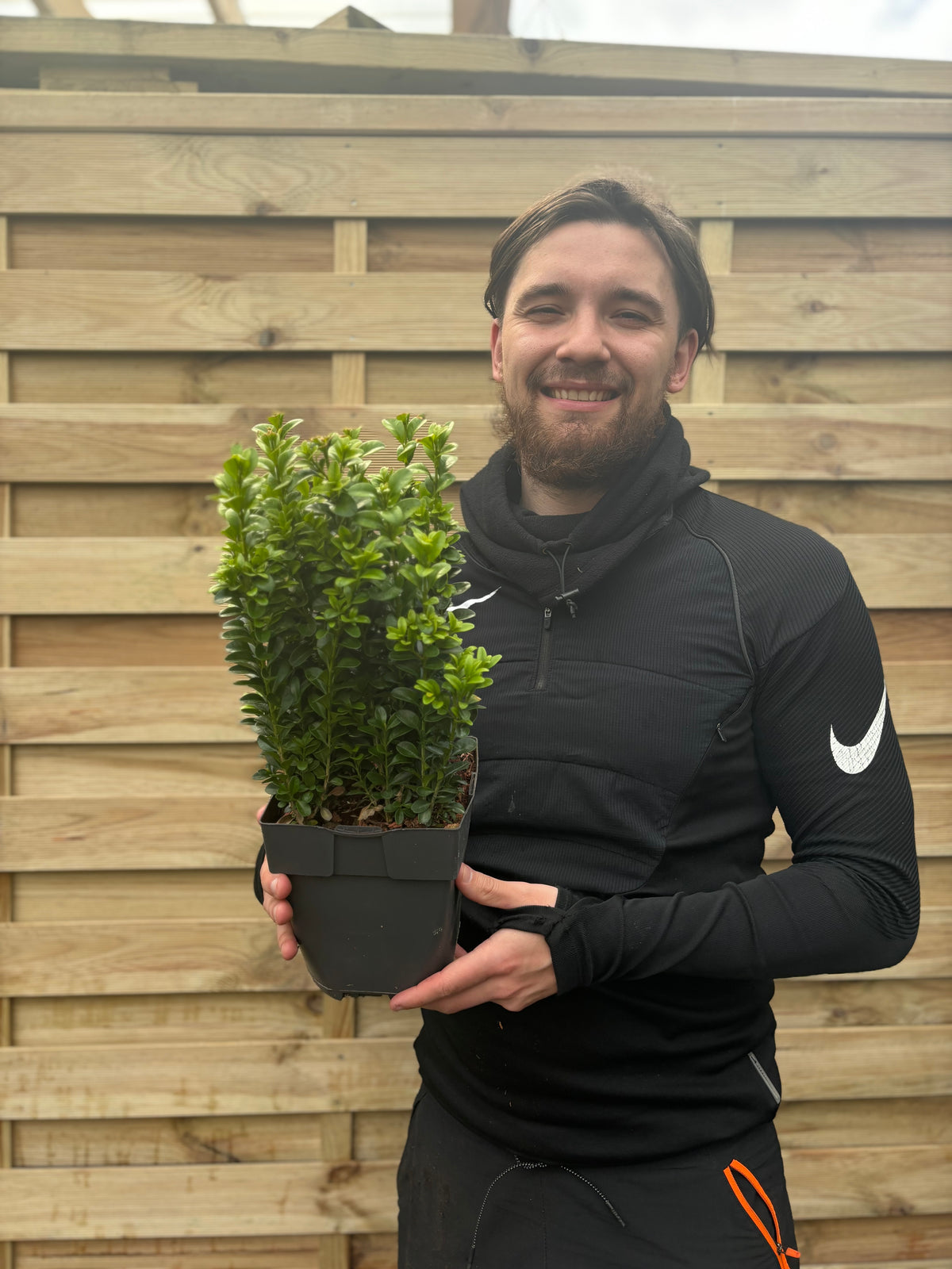 A smiling man with brown hair and a beard stands in front of a wooden fence, holding a small potted Buxus Hedging plant (Multibuy Offers Available). He is wearing a black Nike jacket.