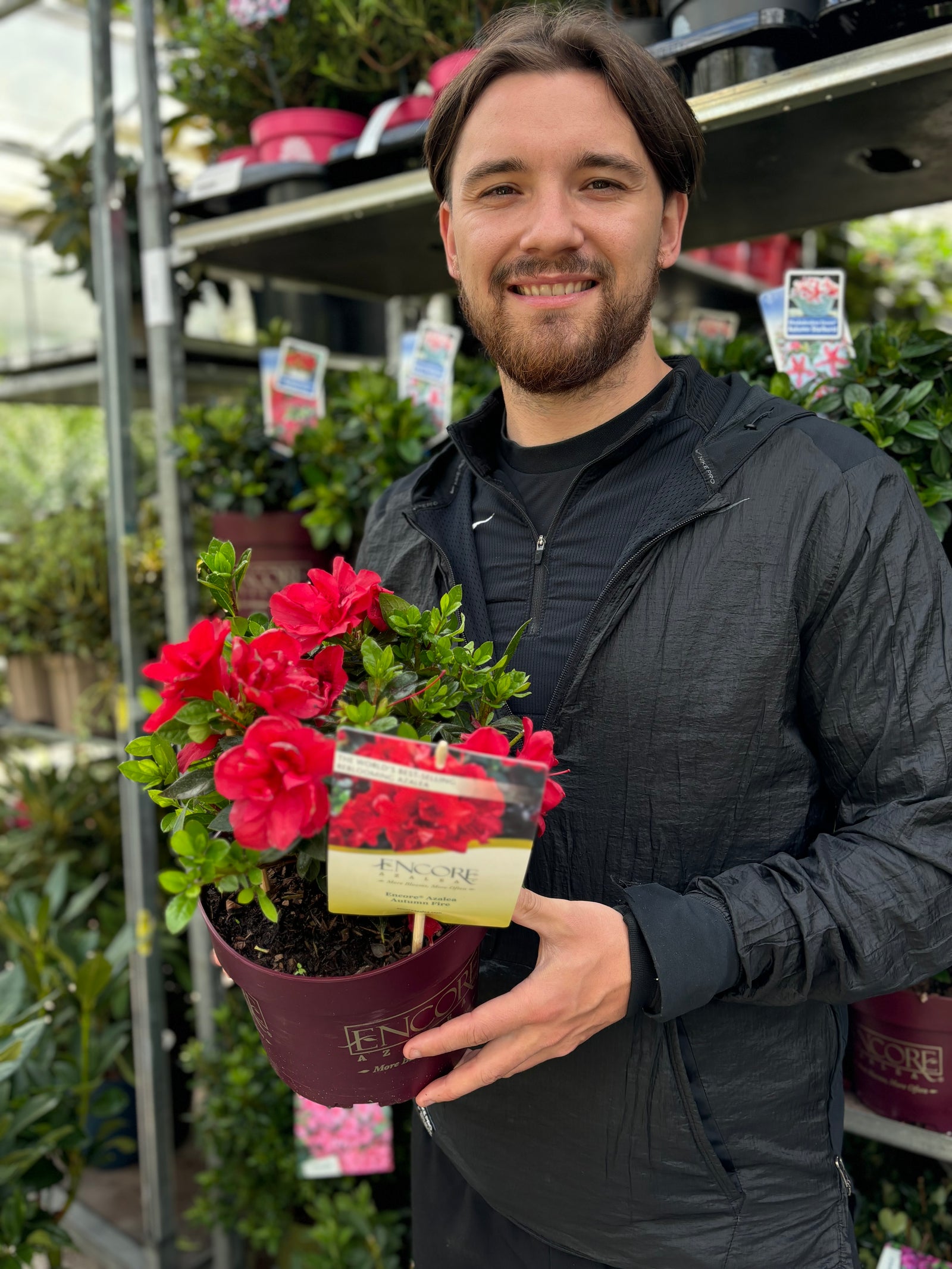 A brown-haired, bearded man in a black jacket smiles while holding an Azalea Encore 'Autumn Fire' 3L pot in a garden center filled with other potted plants.