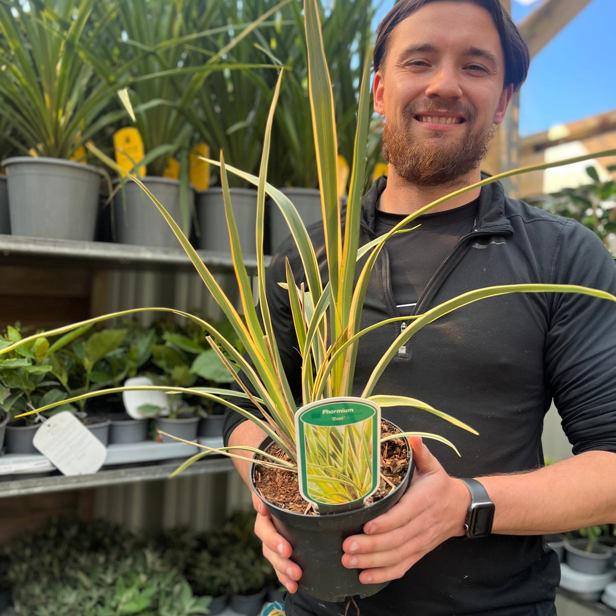 A bearded person with long hair, in a black shirt, smiles while holding a Phormium &#39;Duet&#39; 2L (40-50cm inc. pot) among potted plants on shelves at a garden center.