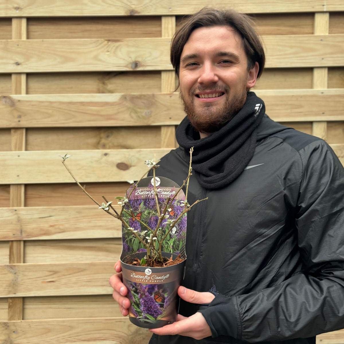 A man holds a potted Buddleja Butterfly Candy &#39;Little Purple&#39; 1/3L, displaying its double flower panicles and showcasing the beauty and compact growth of this butterfly bush.