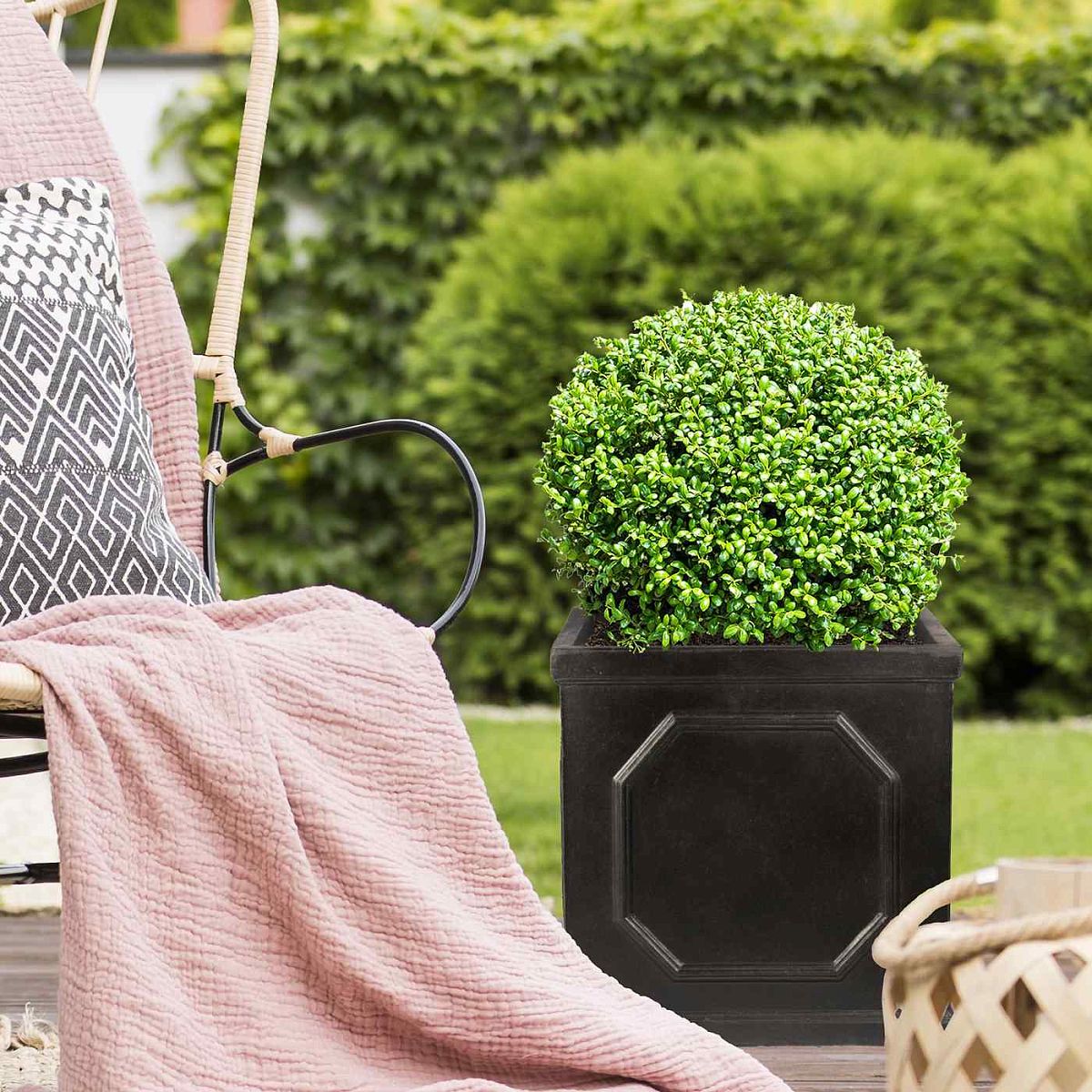 A round, green shrub sits in the IDEALIST Lite Chelsea Flower Box Square Garden Planter (Faux Lead Grey, 45x45x45 cm, 91L) on a patio by a chair with a black-and-white cushion and pink throw, adding lush charm to your garden décor.