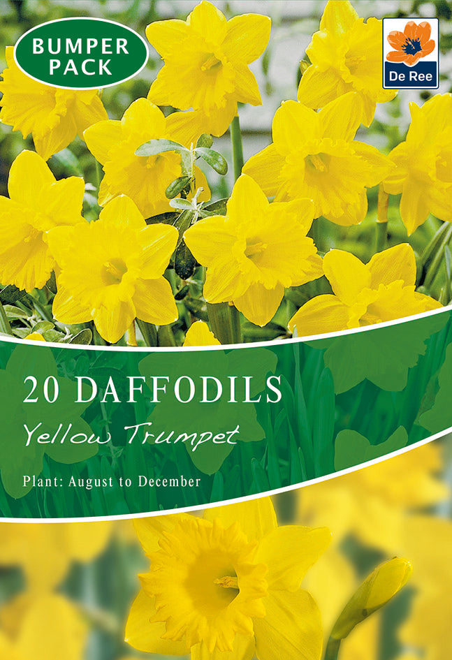 A packet of Daffodil 'Yellow Trumpet' (20 Bulbs) shows bright, star-shaped flowers and "BUMPER PACK." It indicates planting from August to December and features the De Ree logo in the top right corner.