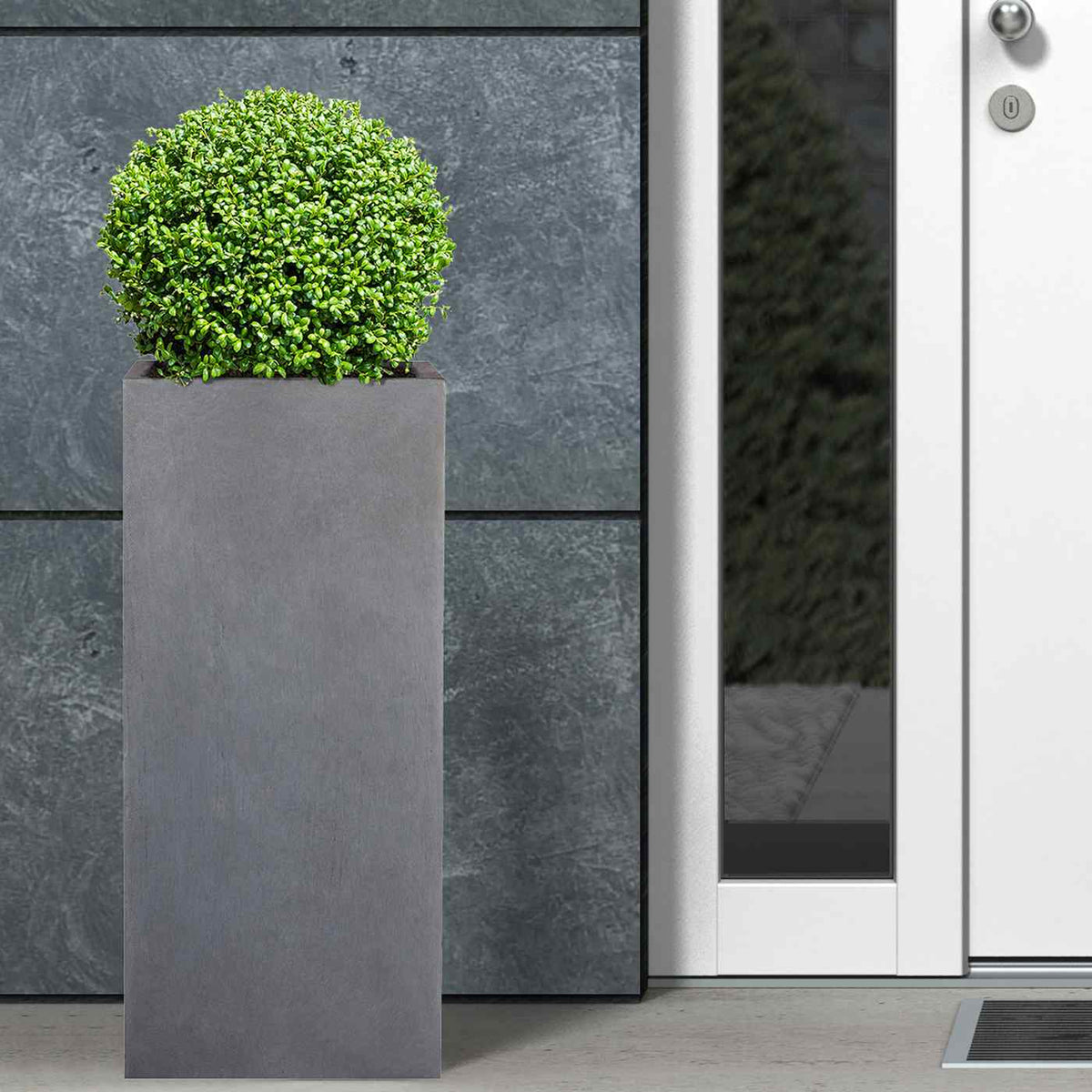 A round green shrub sits in the IDEALIST Lite Contemporary Light Concrete Tall Square Planter (H70 L33 W33 cm, 79L) on a stone surface beside a modern white door and textured gray wall.