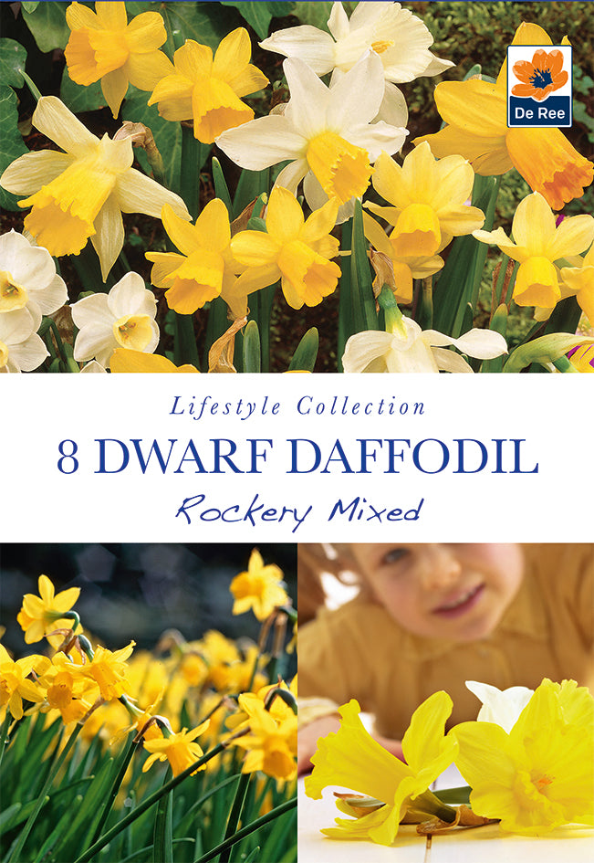 The packet displays blooming yellow and white Dwarf Daffodil &#39;Rockery Mixed&#39; (8 Bulbs), with a child holding flowers—ideal garden bulbs for beds or containers. The brand logo appears at the top right.