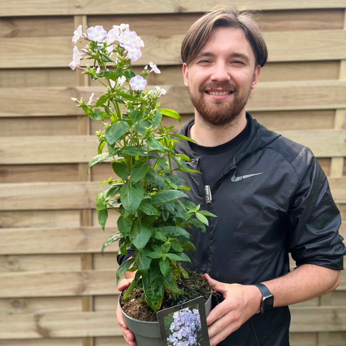 A smiling man with brown hair and a beard, in a black jacket, holds a 2L Phlox paniculata flame &#39;Lilac Star&#39;—a perennial plant with light purple blooms that attract butterflies and bees—while standing by a wooden fence outdoors.