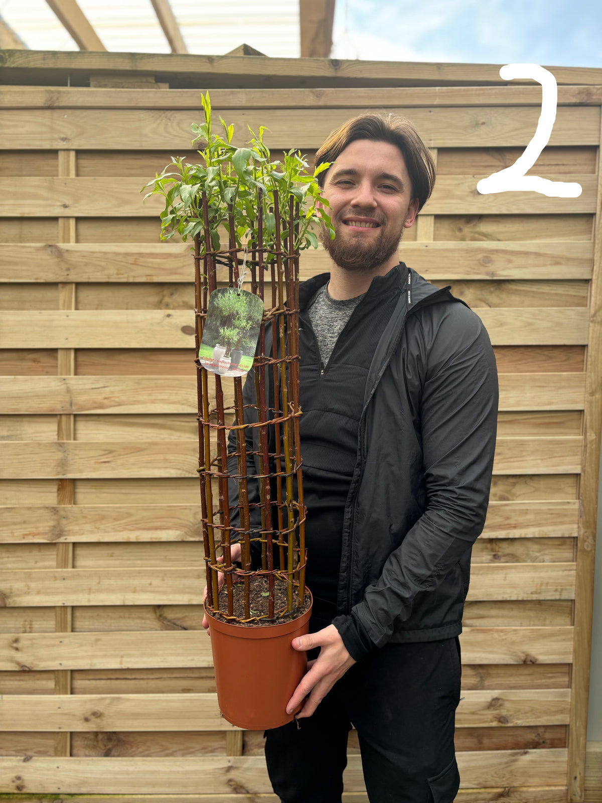 A bearded, smiling person in a black jacket holds the Salix Living Braided Willow Tree Sculpture (80-90cm) in a tall trellis. A wooden fence is behind them, with a large white number 2 in the top right corner.