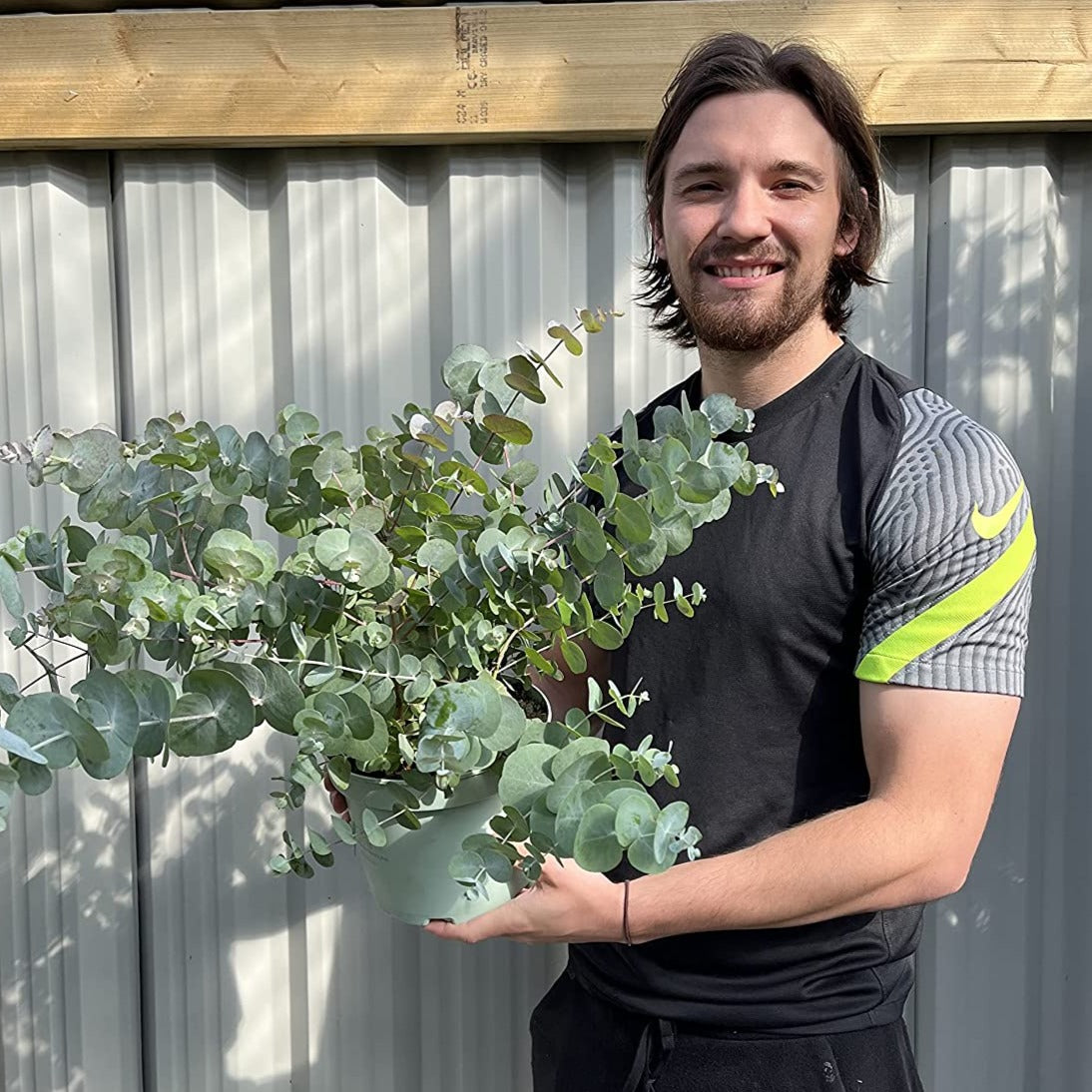 A smiling man with shoulder-length brown hair and a beard holds a Eucalyptus gunnii Louis 9cm-3L, known for its silver-blue foliage. He wears a black t-shirt with gray and yellow accents, standing before a corrugated metal fence.