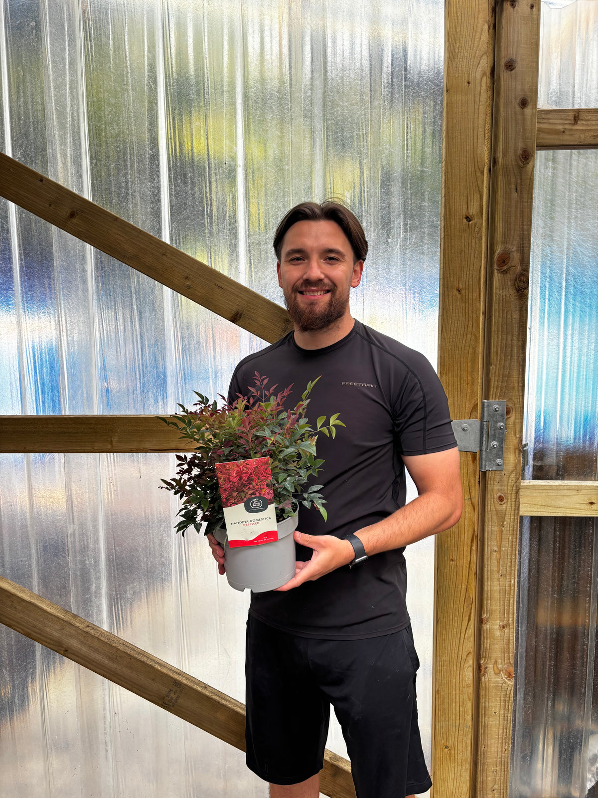 Nandina domestica 'Obsessed' 9cm / 3L / 10: