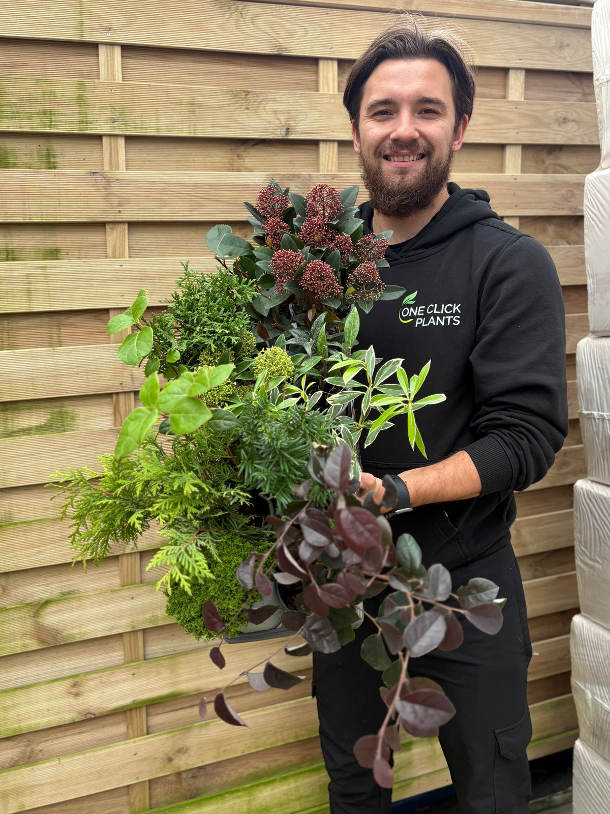 Black November Shrub Mix