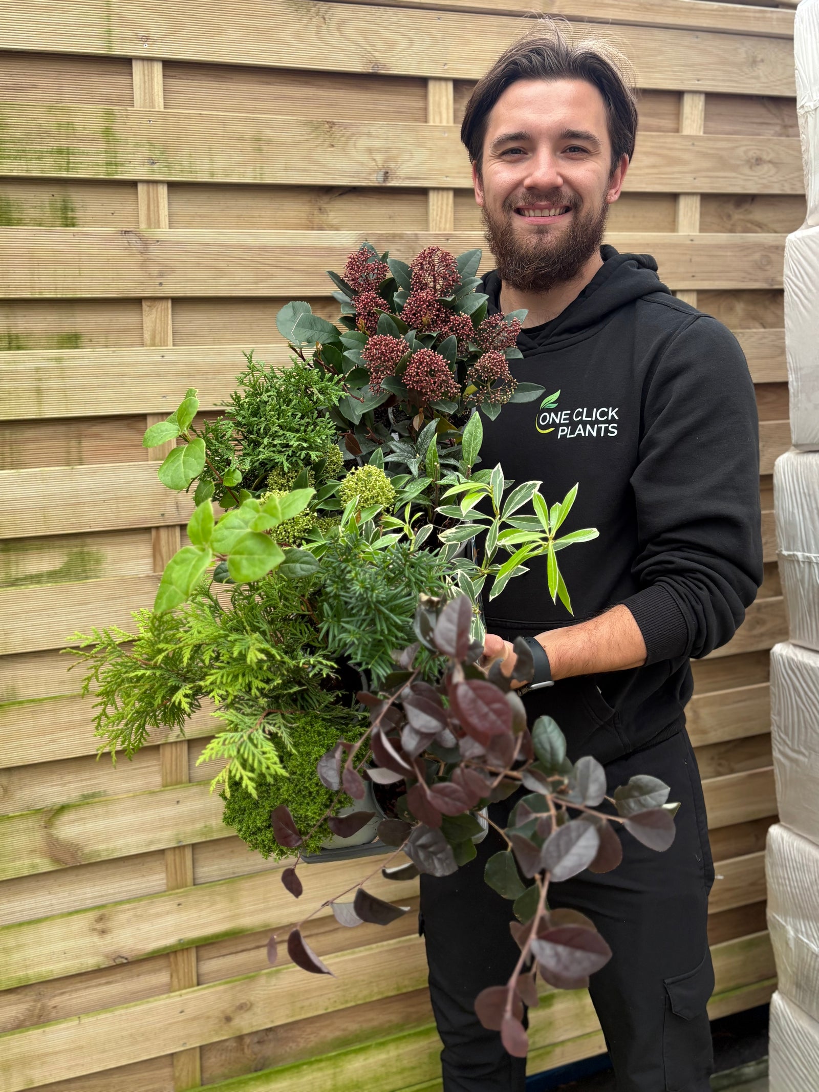 Black November Shrub Mix