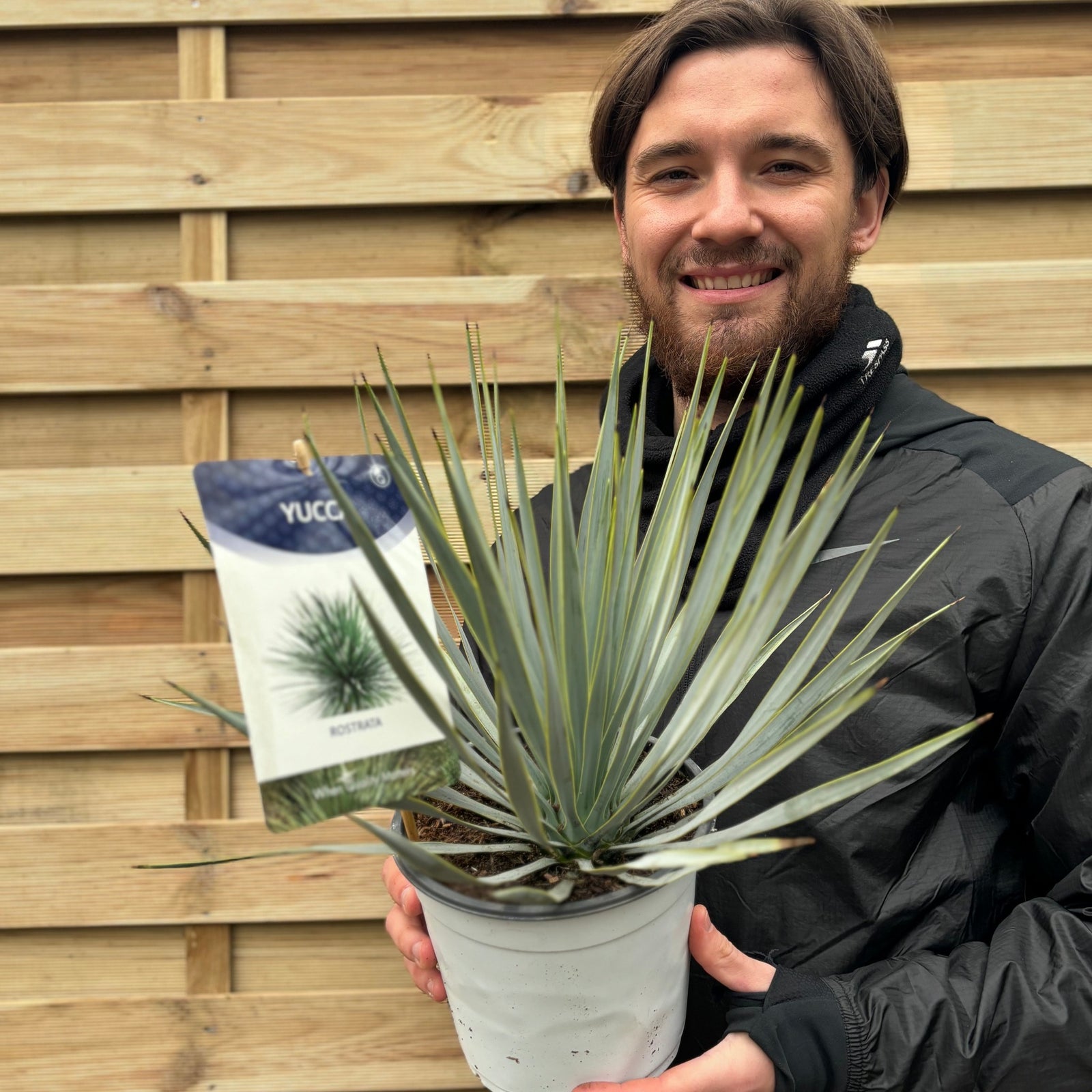 A smiling person in a black jacket holds a Yucca rostrata 'Blue Swan' 40-50cm 2L with a label, standing in front of a wooden fence.