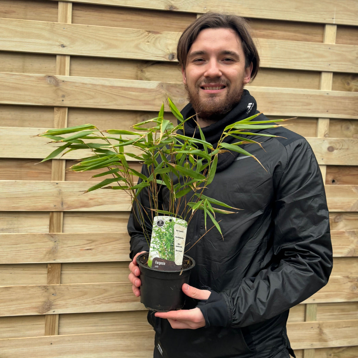 A smiling person in a black jacket holds a 40cm Fountain Bamboo (Fargesia rufa) in a pot, standing in front of a wooden fence.
