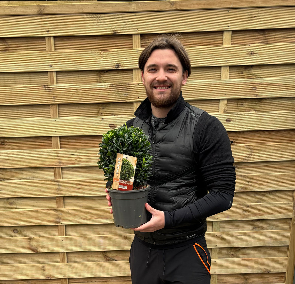 A smiling man in a black jacket holds a Euonymus japonicus Ball &#39;Green Spire&#39; 2L, its lush green foliage perfect for adding interest to garden borders, standing before a wooden fence.
